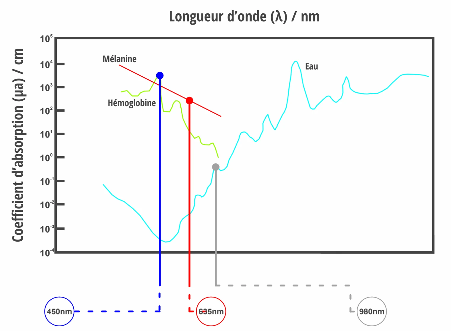 Coefficient d’absorption de la mélanine, de l’hémoglobine et de l’eau selon la longueur d’onde : 450, 635 et 980 nm