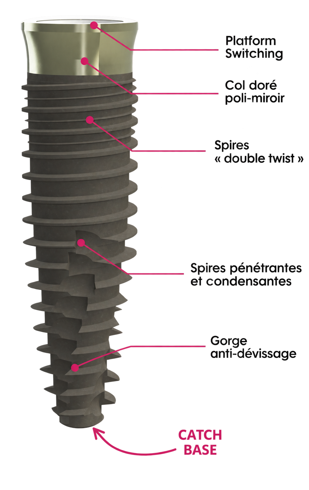 Implant IDALL annoté : platform switching, col doré poli-miroir, spires « double twist », spires pénétrantes et condensantes, gorge anti-dévissage, Catch base